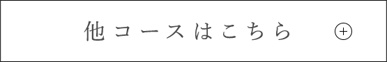 他コース